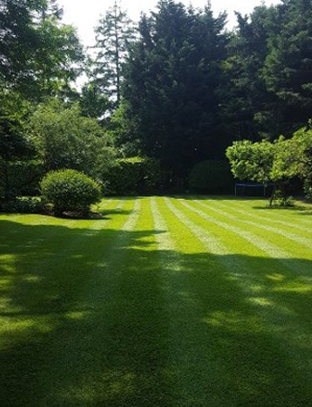 Garden Renovation